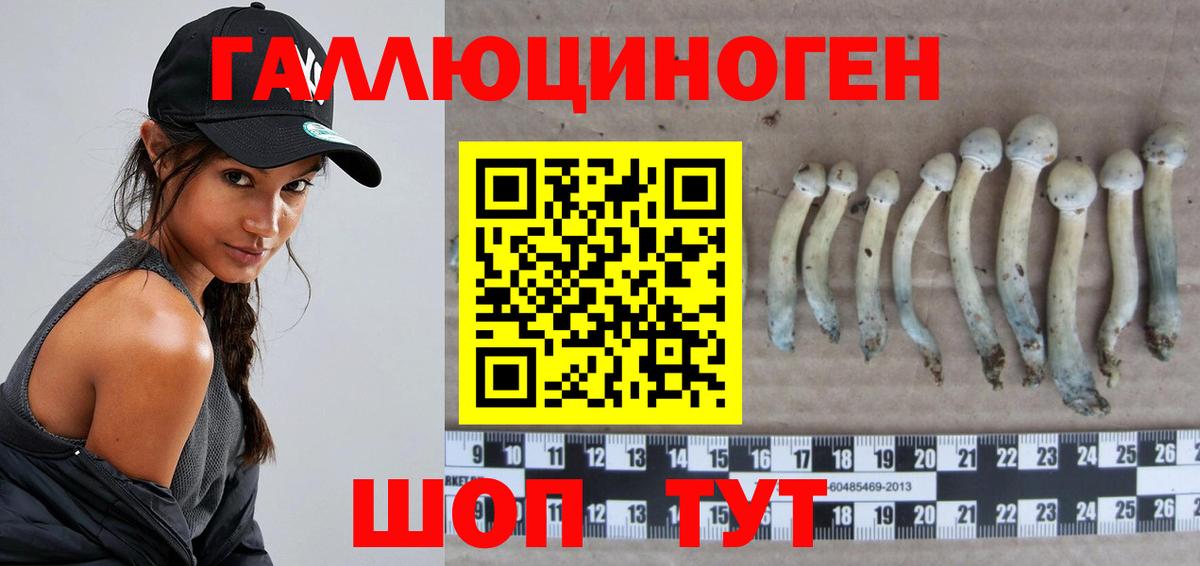 Галлюциногенные грибы Psilocybe  Вход с VPN  Шали  Галлюциногенные грибы мицелий 
